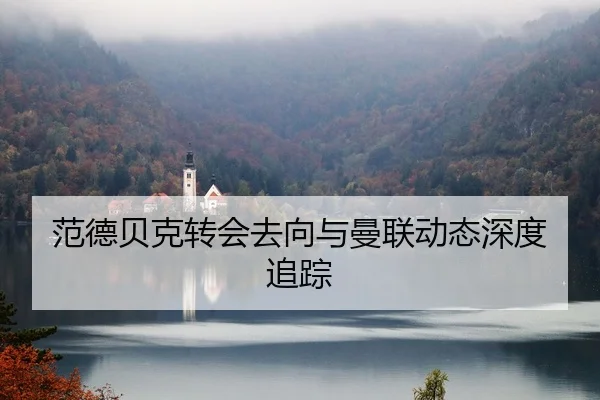 范德贝克转会去向与曼联动态深度追踪